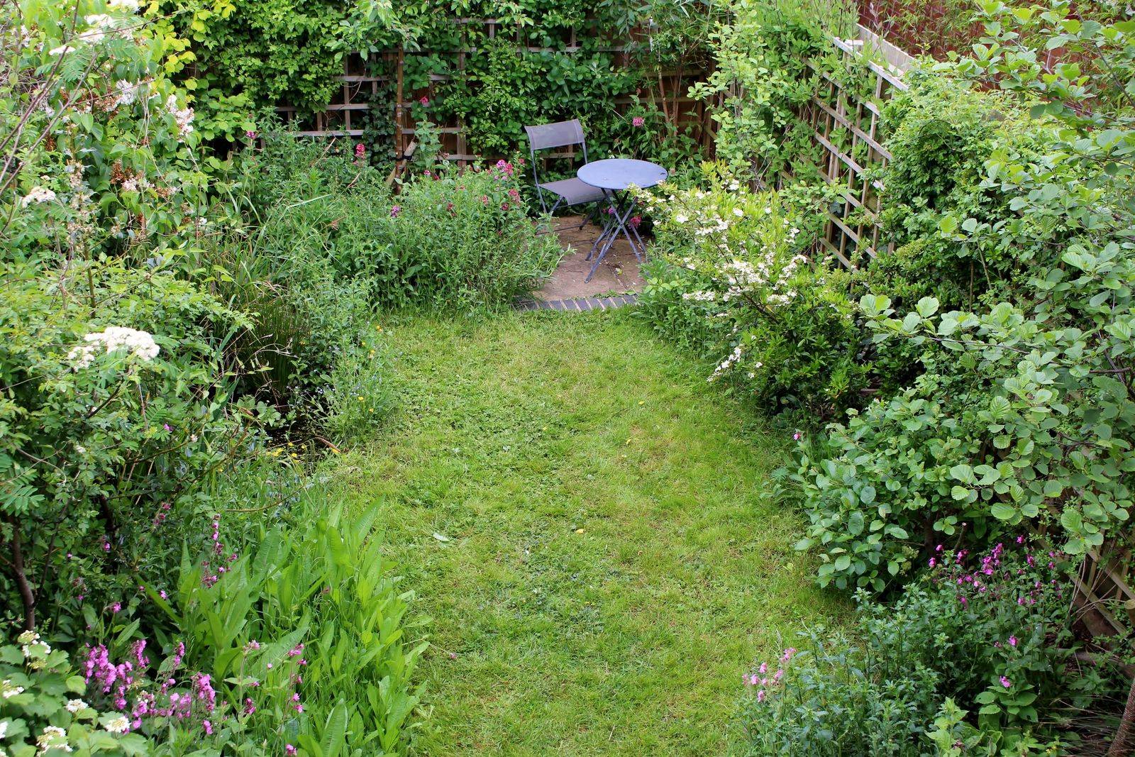 Small Wildlife Garden