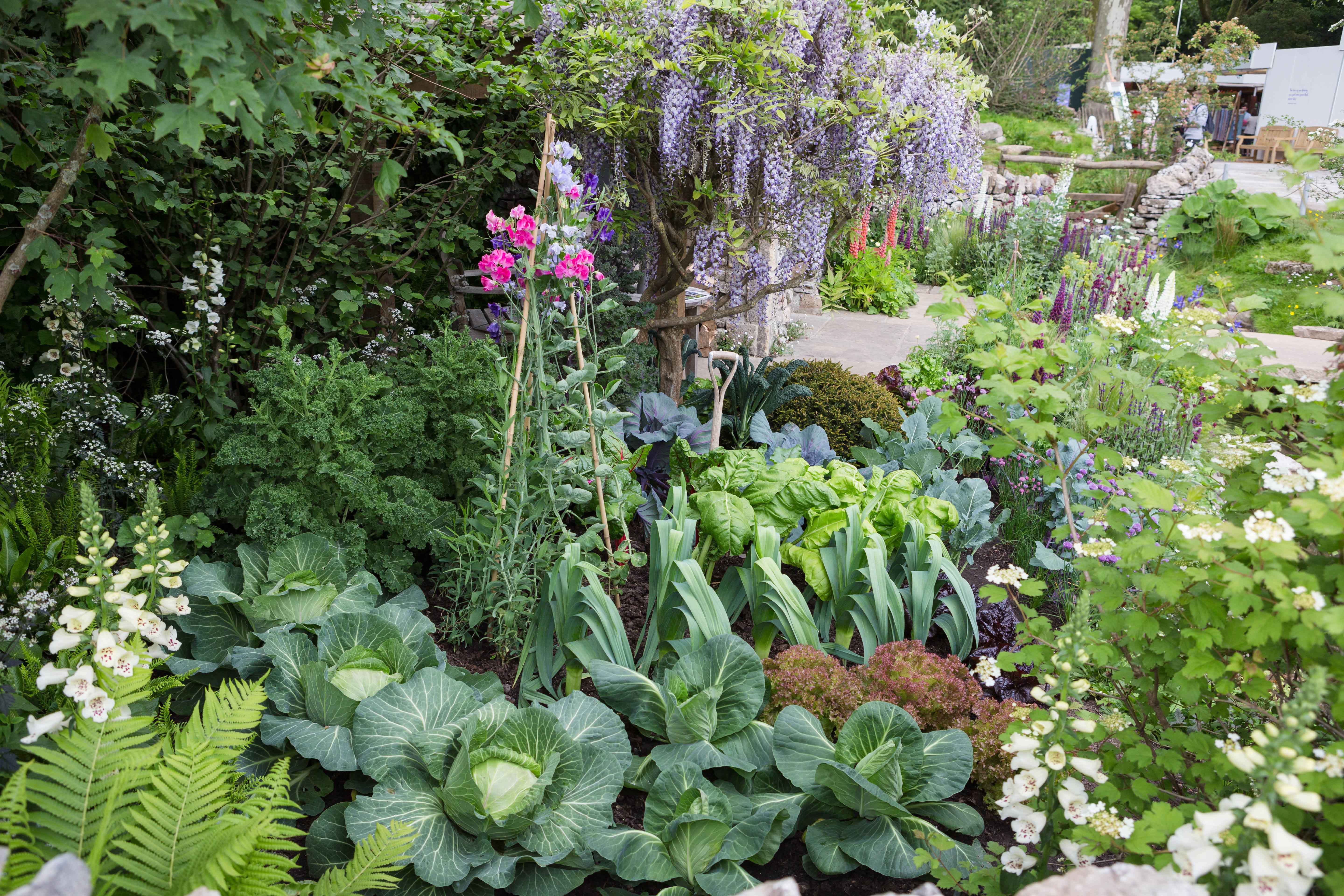 Chelsea Show Garden Chelsea Flower Show