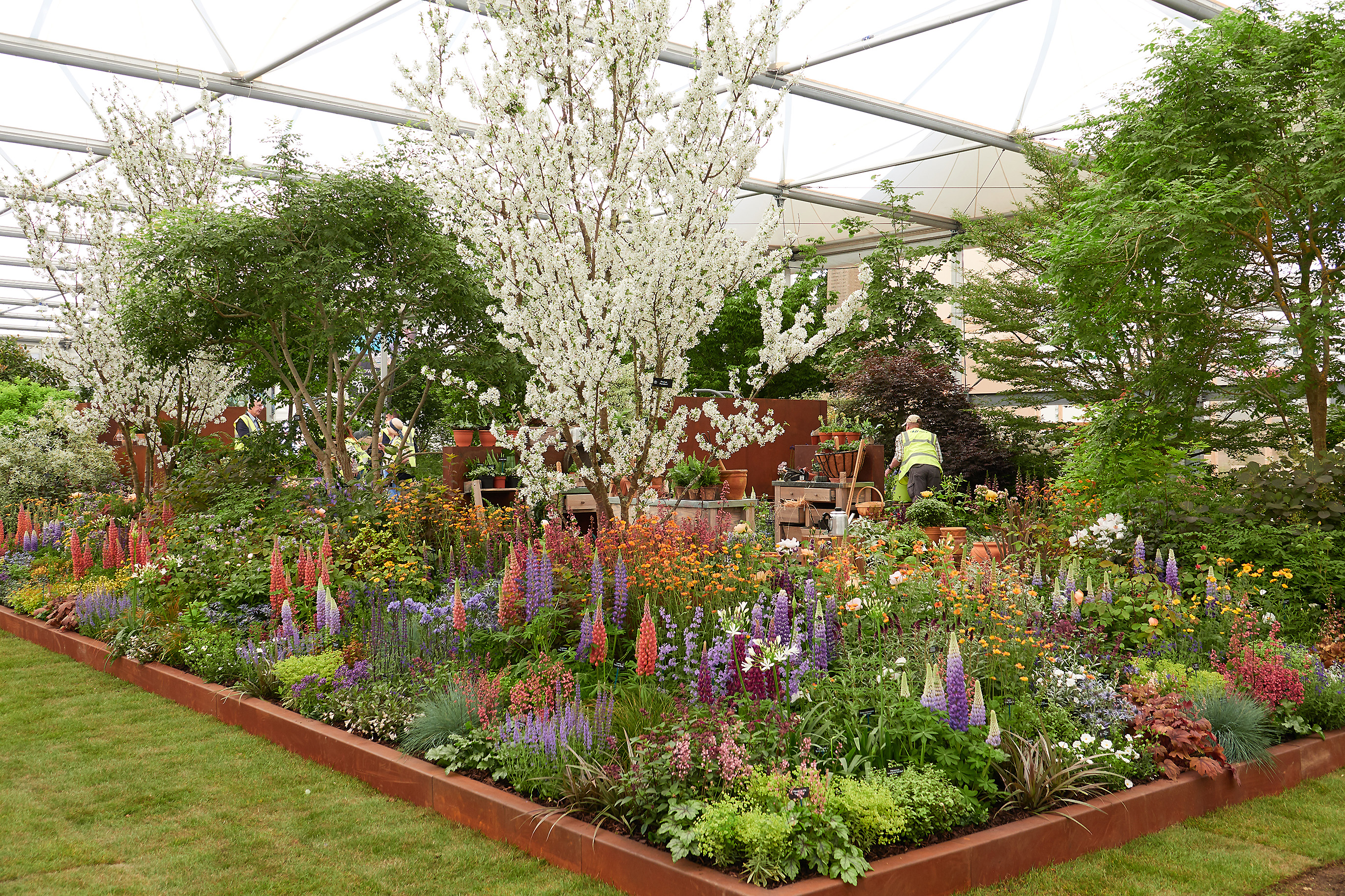 Rhs Chelsea Flower