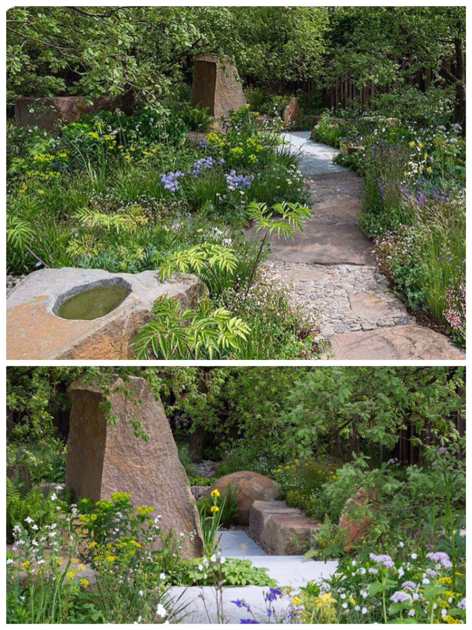 Wild Gardens Lisa Cox Garden