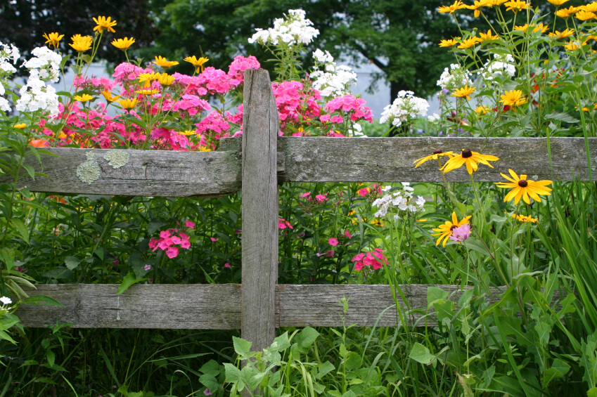 A Raised Wooden Flower Bed