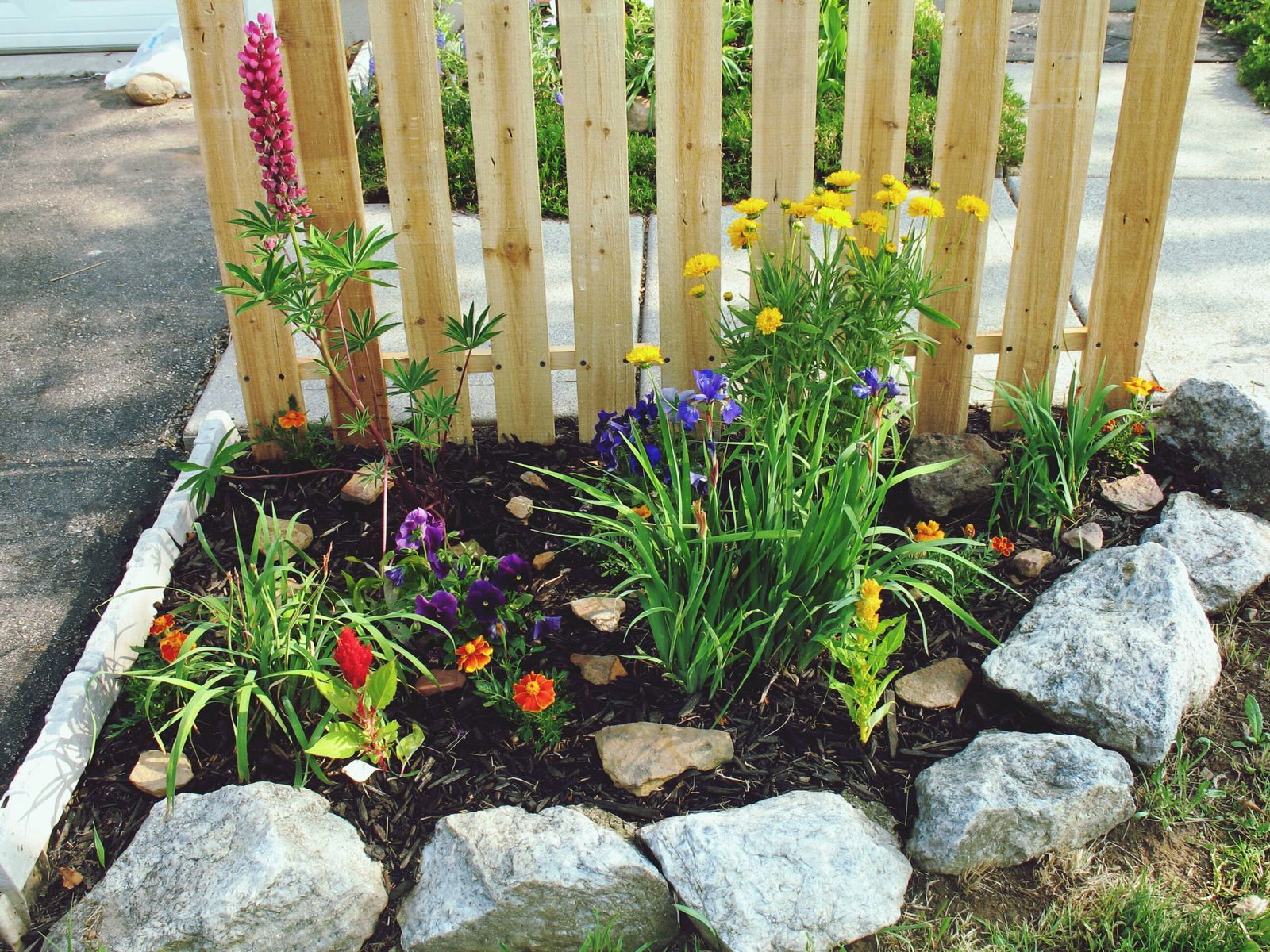 Decorative Garden Border Fencing