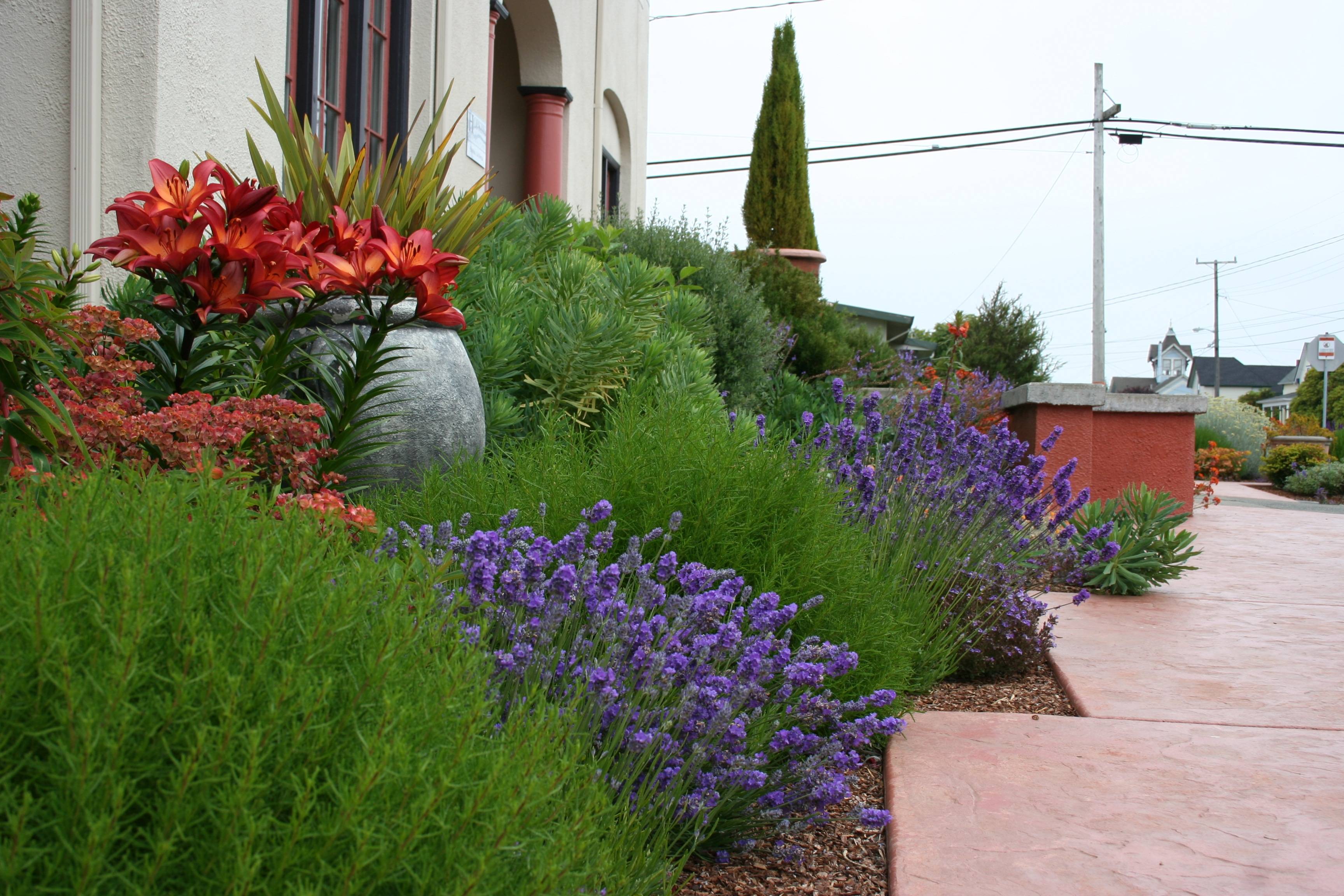 Mediterranean Garden Design