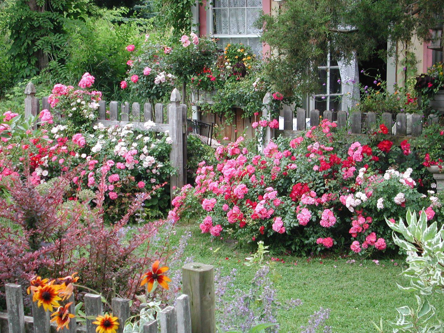 Beautiful Rose Flower Garden Ideas Rose Garden Landscape