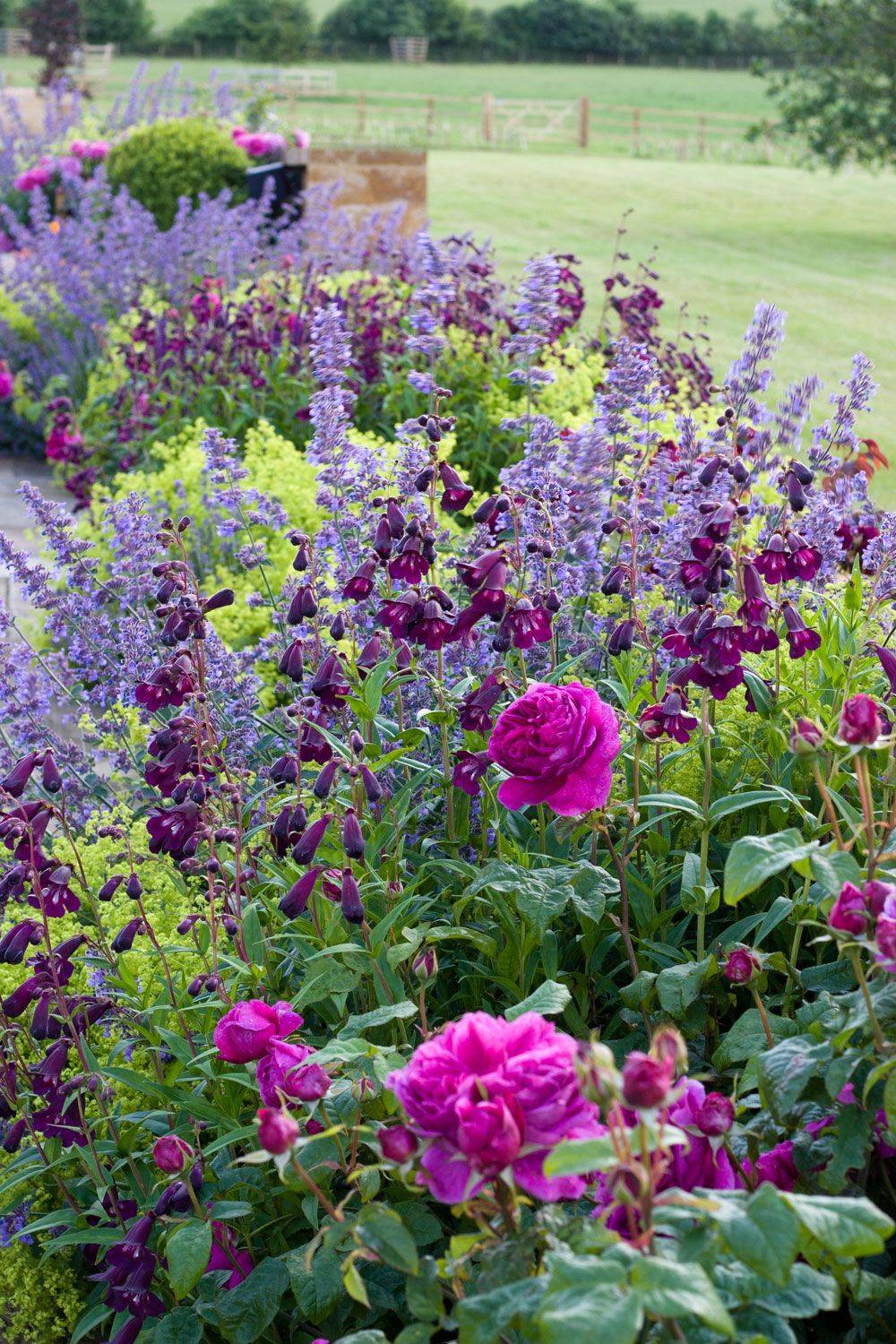 The New Millennial Rose Garden