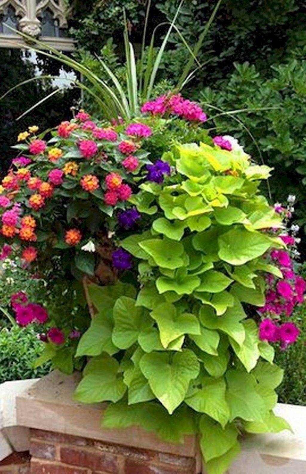 My Flowering Addiction
