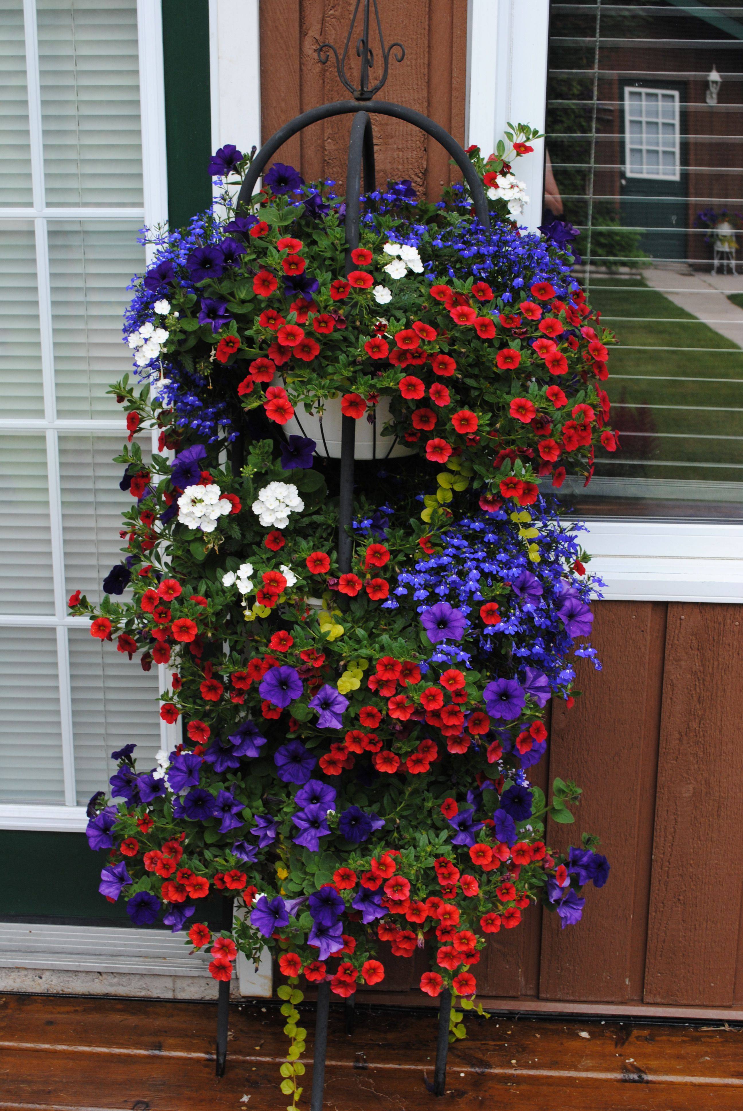 Front Gardens