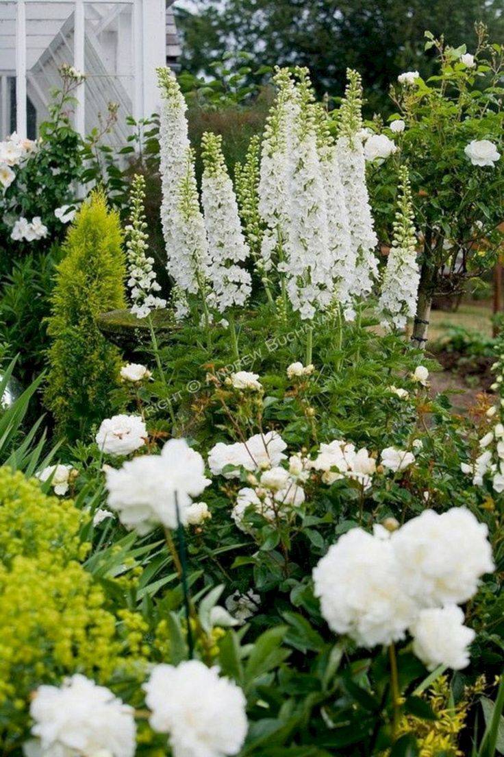 Awesome White Garden Ideas