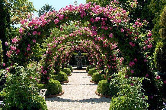 Gorgeous Rose Garden Ideas Photo Inspiration Garden Tabs