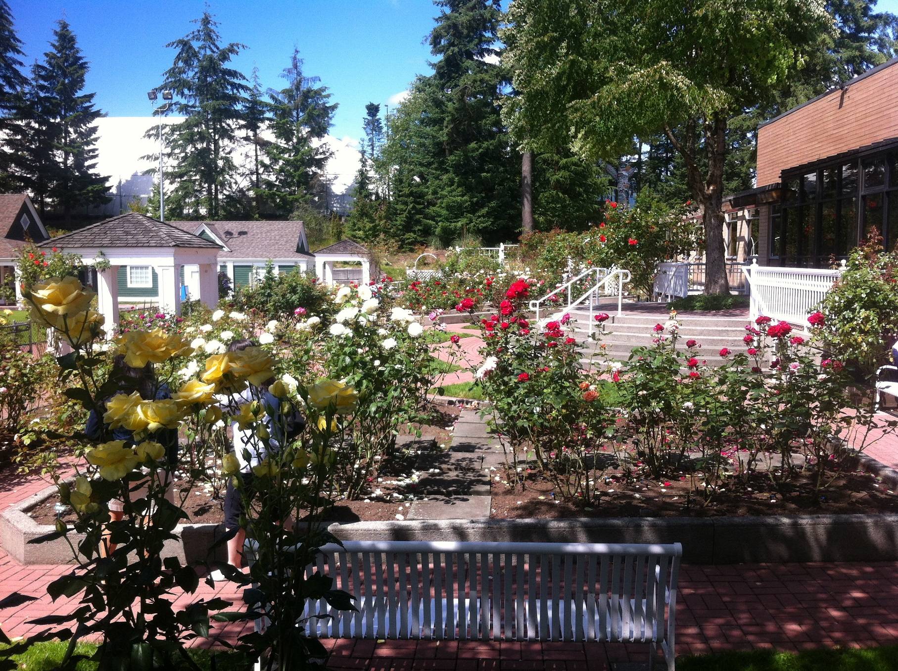 Gorgeous Rose Garden Ideas Photo Inspiration Garden Tabs