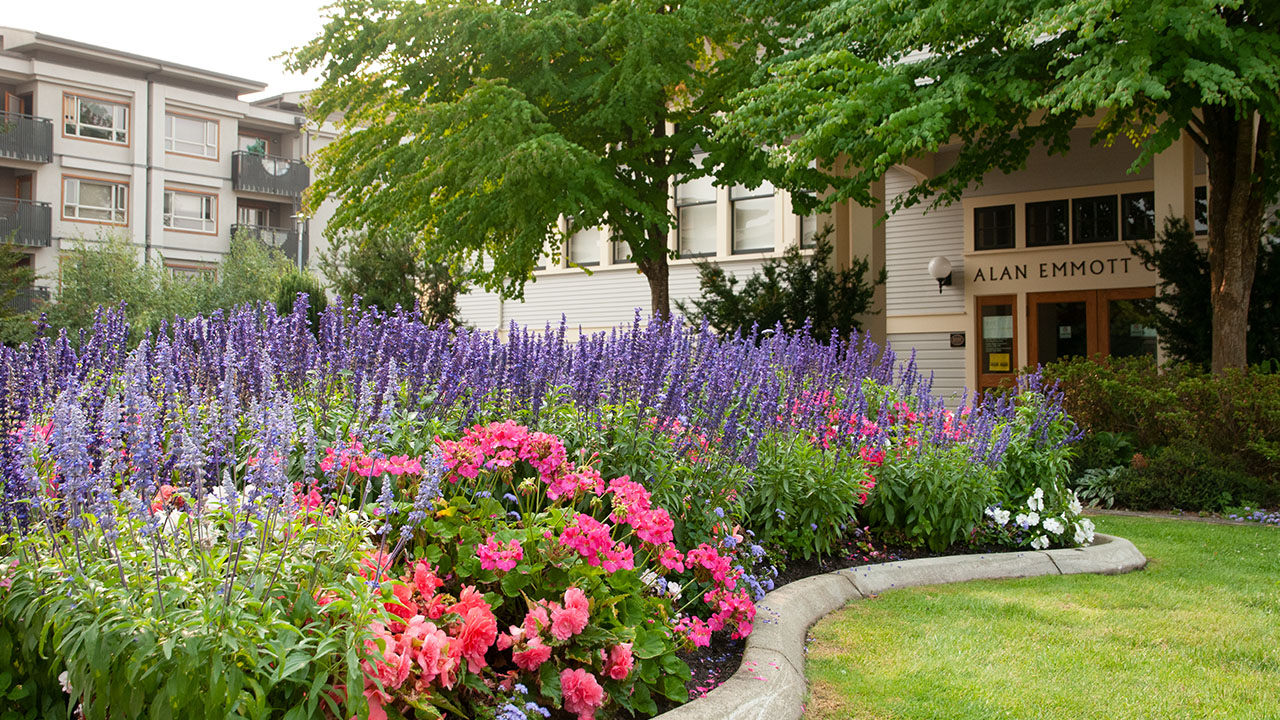 Centennial Rose Garden Unique And Different Wedding Ideas