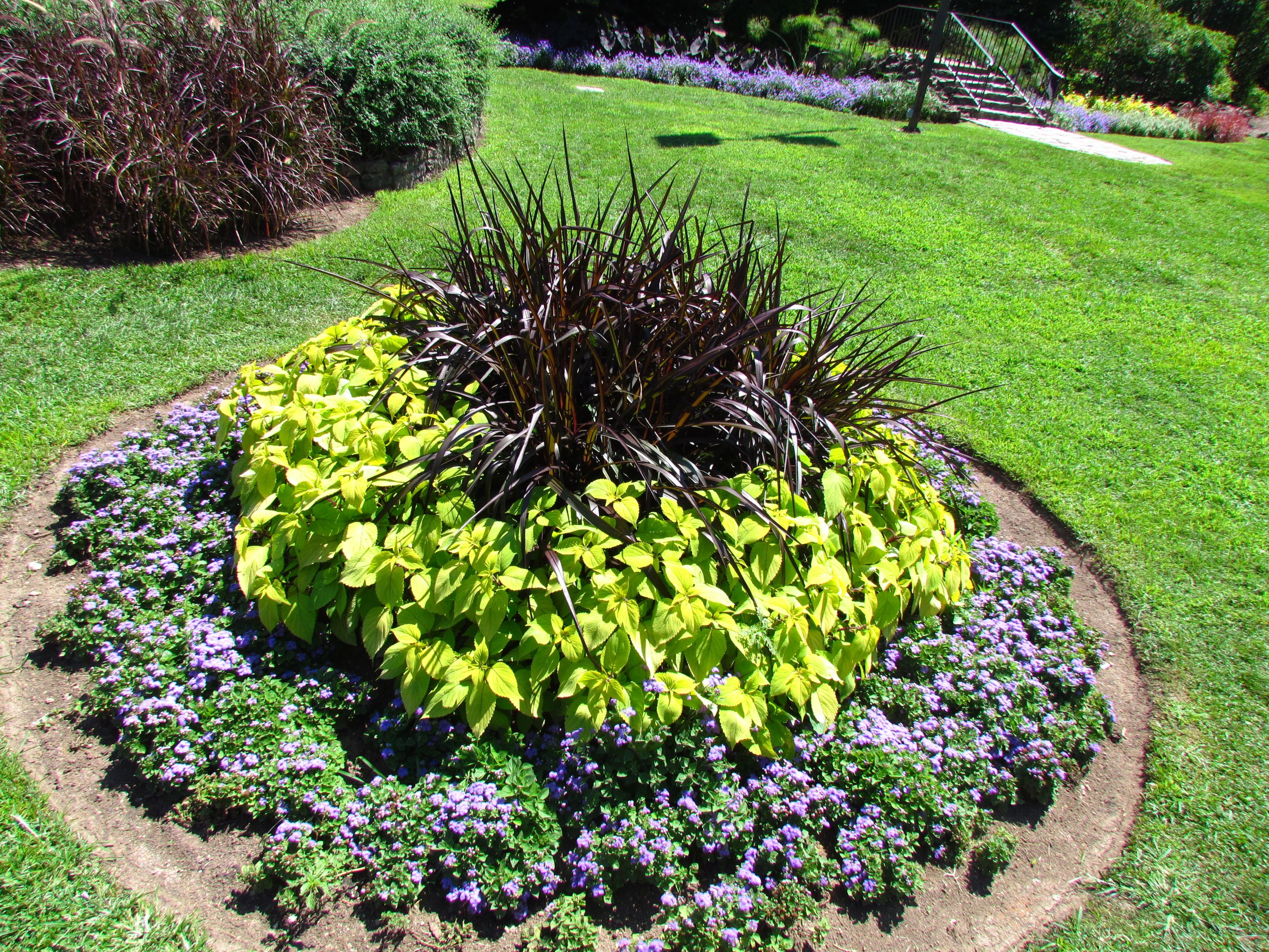 Houstons Mcgovern Centennial Gardens