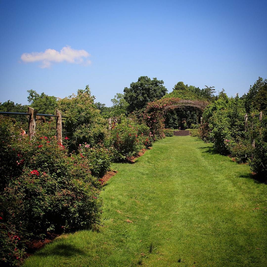 New Westminster Parks