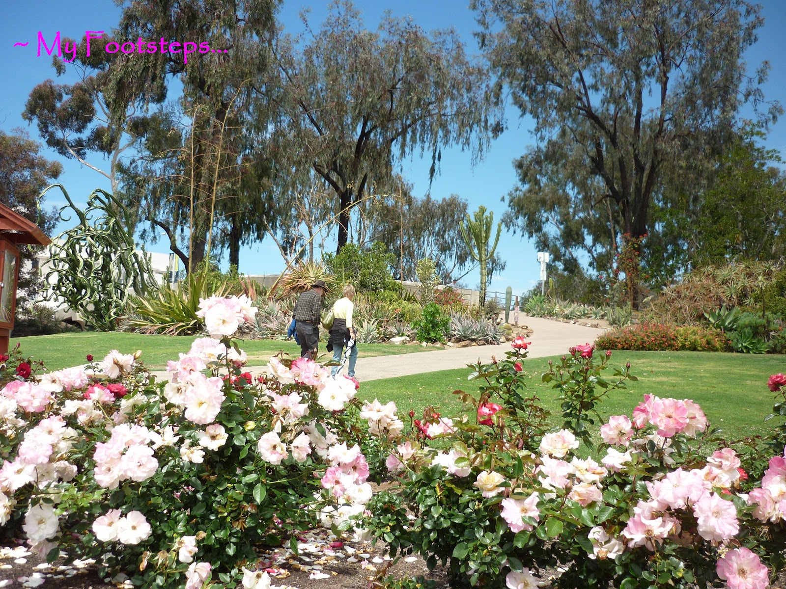 Rosegarden Balboa Park Conservancy