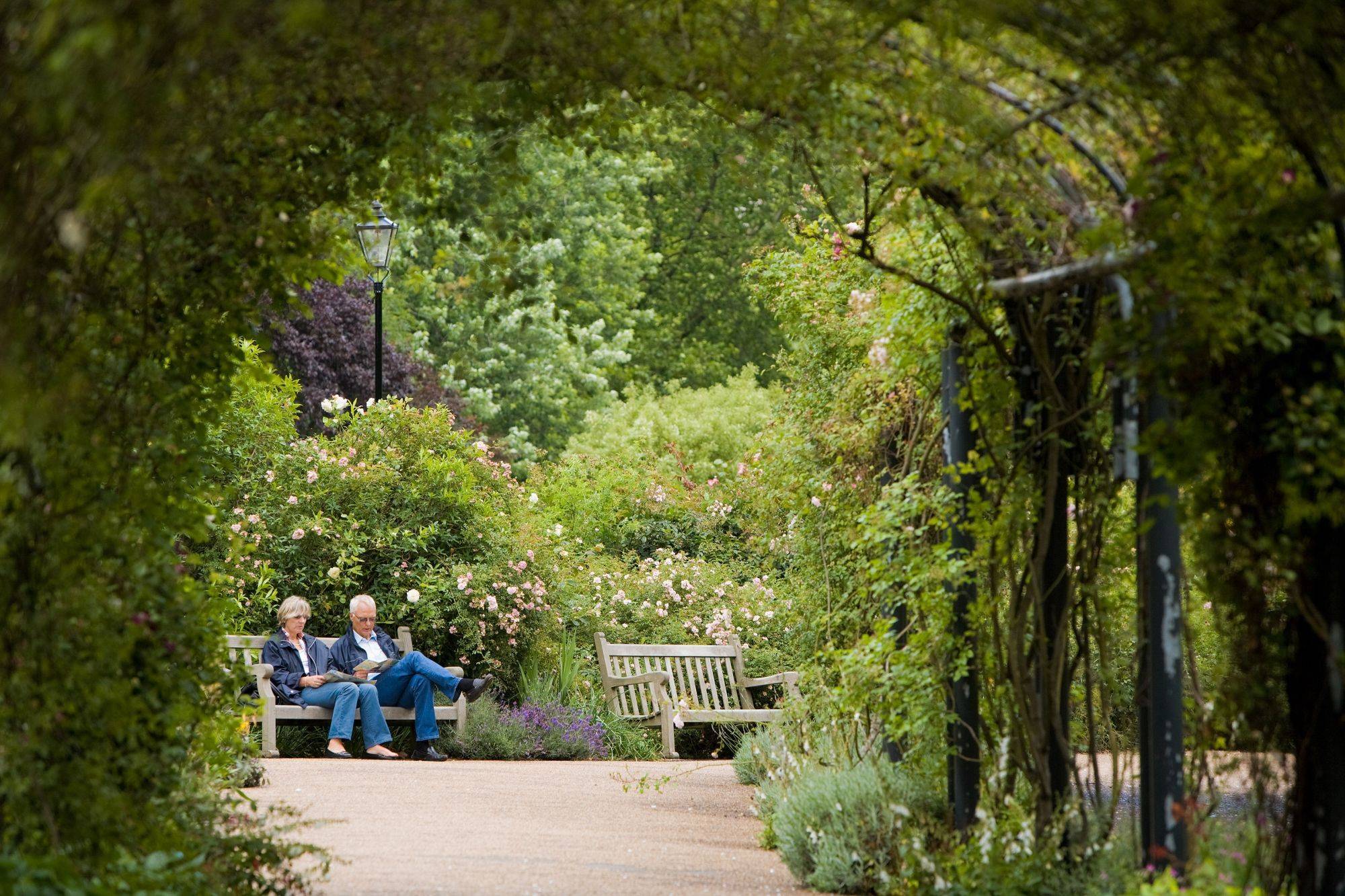 15 Hyde Park Rose Garden Ideas You Should Check SharonSable