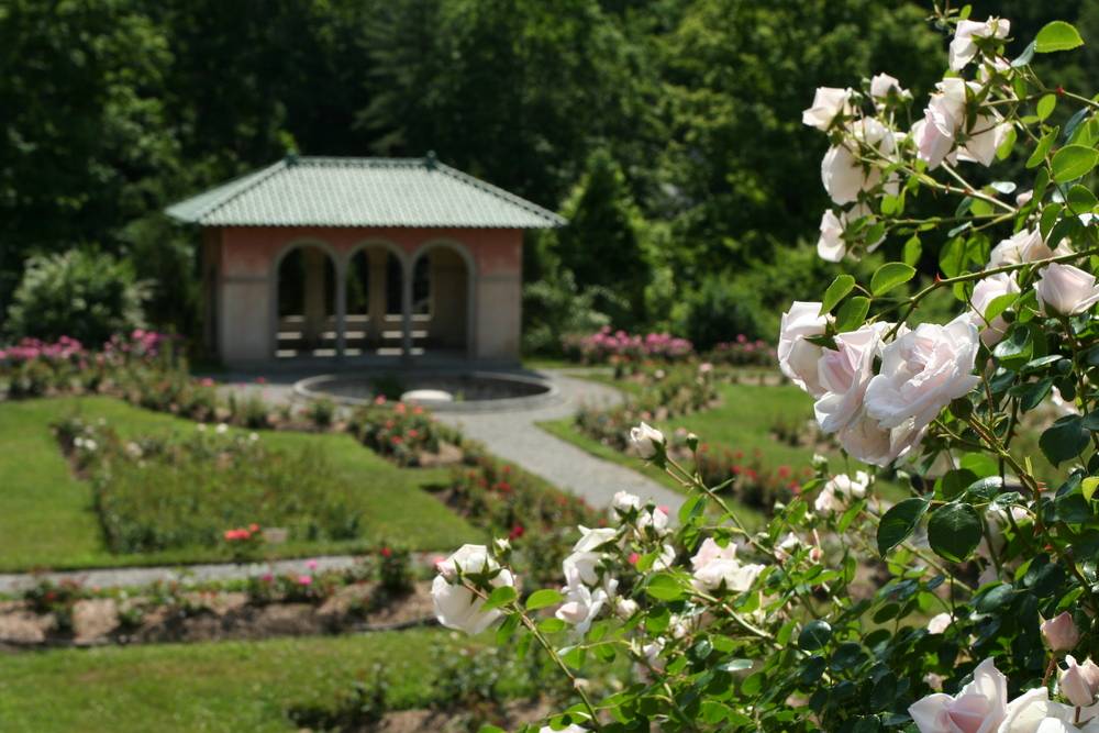 15 Hyde Park Rose Garden Ideas You Should Check SharonSable