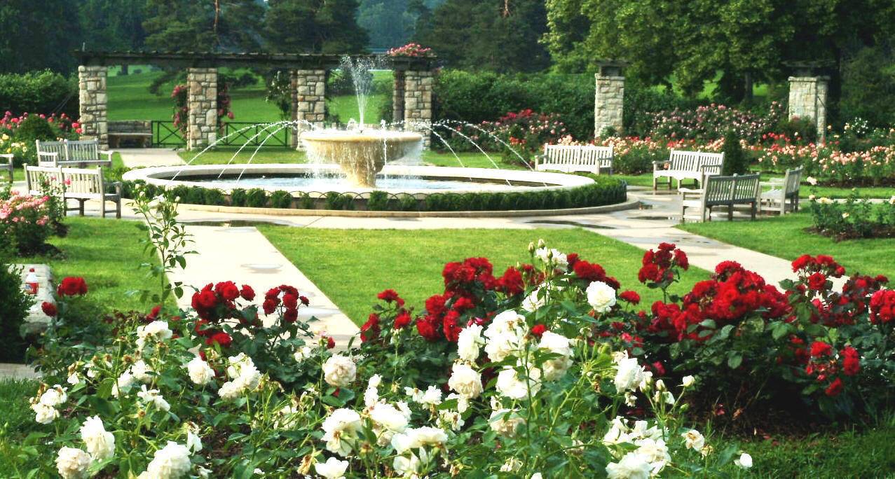 Loose Park Rose Garden Design Supplykitdesign