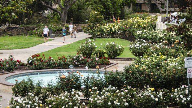 Beautiful Flower Arrangements