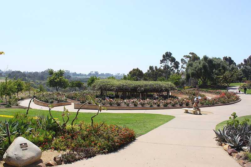 Inez Grant Parker Memorial Rose Garden Balboa Park San Diego Cool