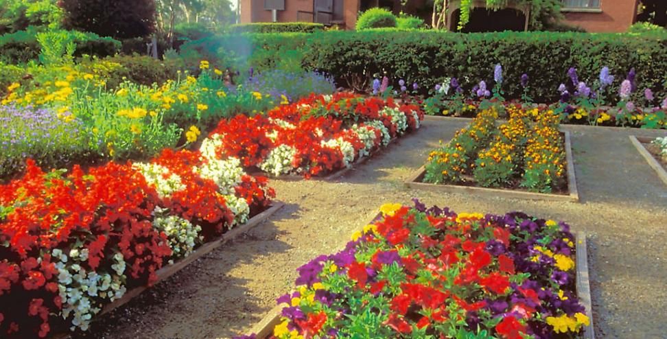 Inez Grant Parker Memorial Rose Garden Balboa Park San Diego Cool