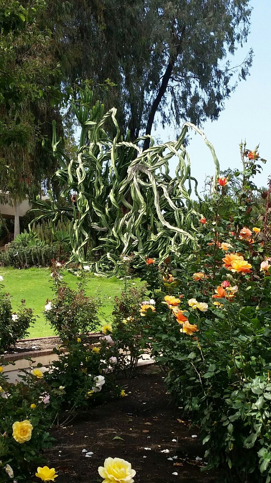 Marston House Garden