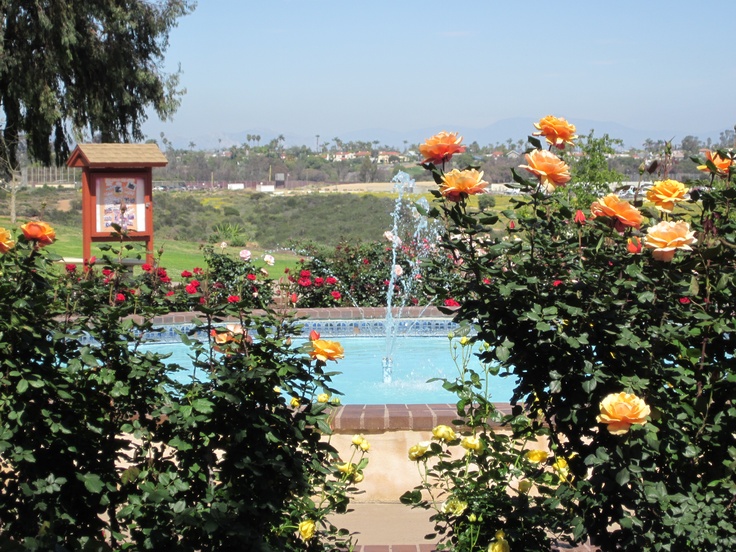 Rose Garden Balboa Park