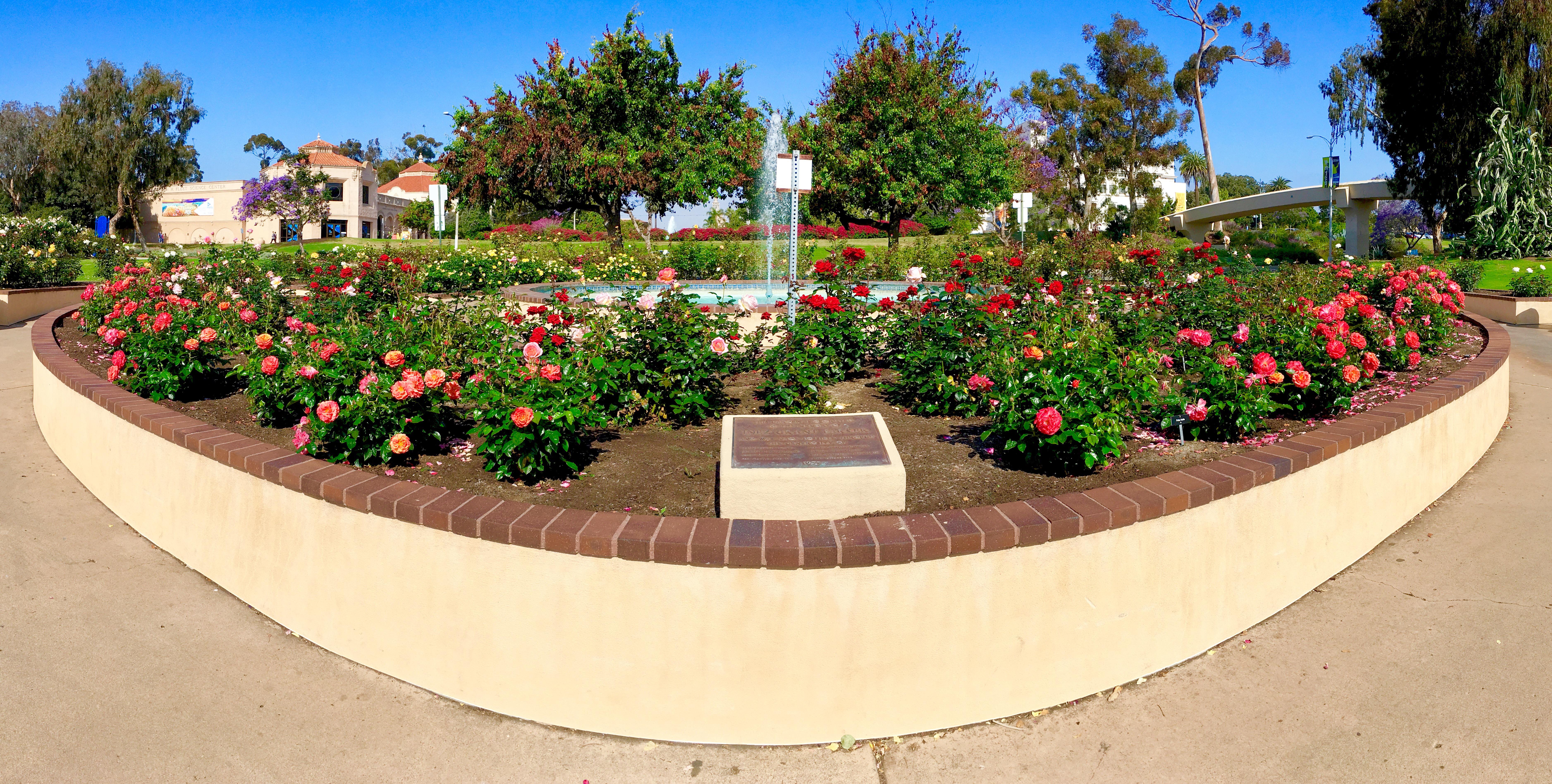 Rose Garden Coronado San Diego Travel Blog
