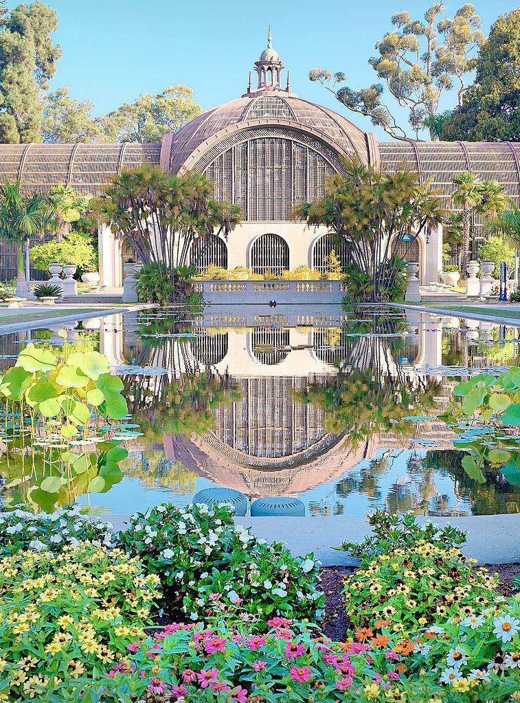 San Diego Rose Images