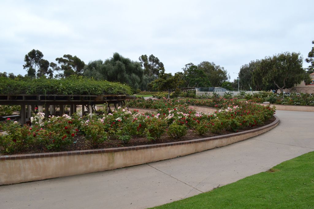 Balboa Parks Rose Garden