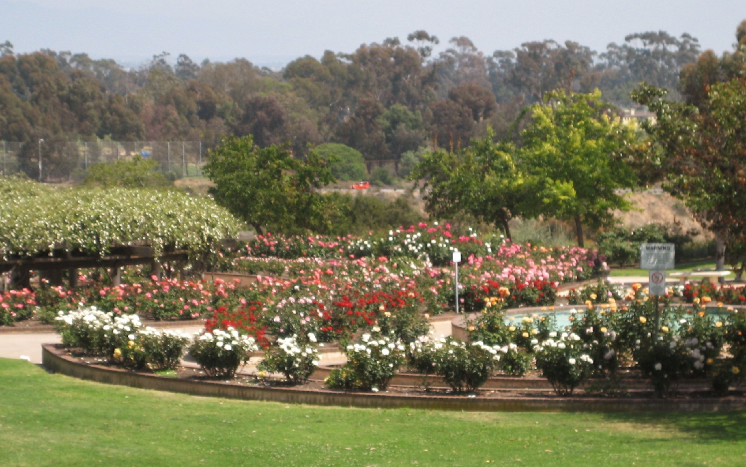Volunteer Meeting Balboa Park Rose Garden