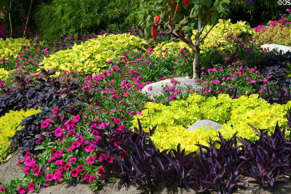 Stanley Park Elopement