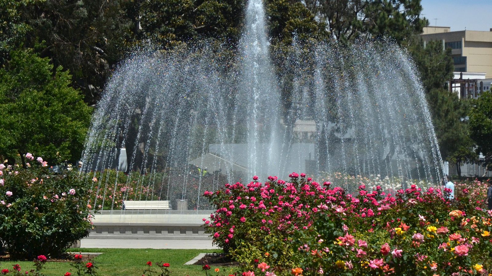 Wedding Reception Ideas