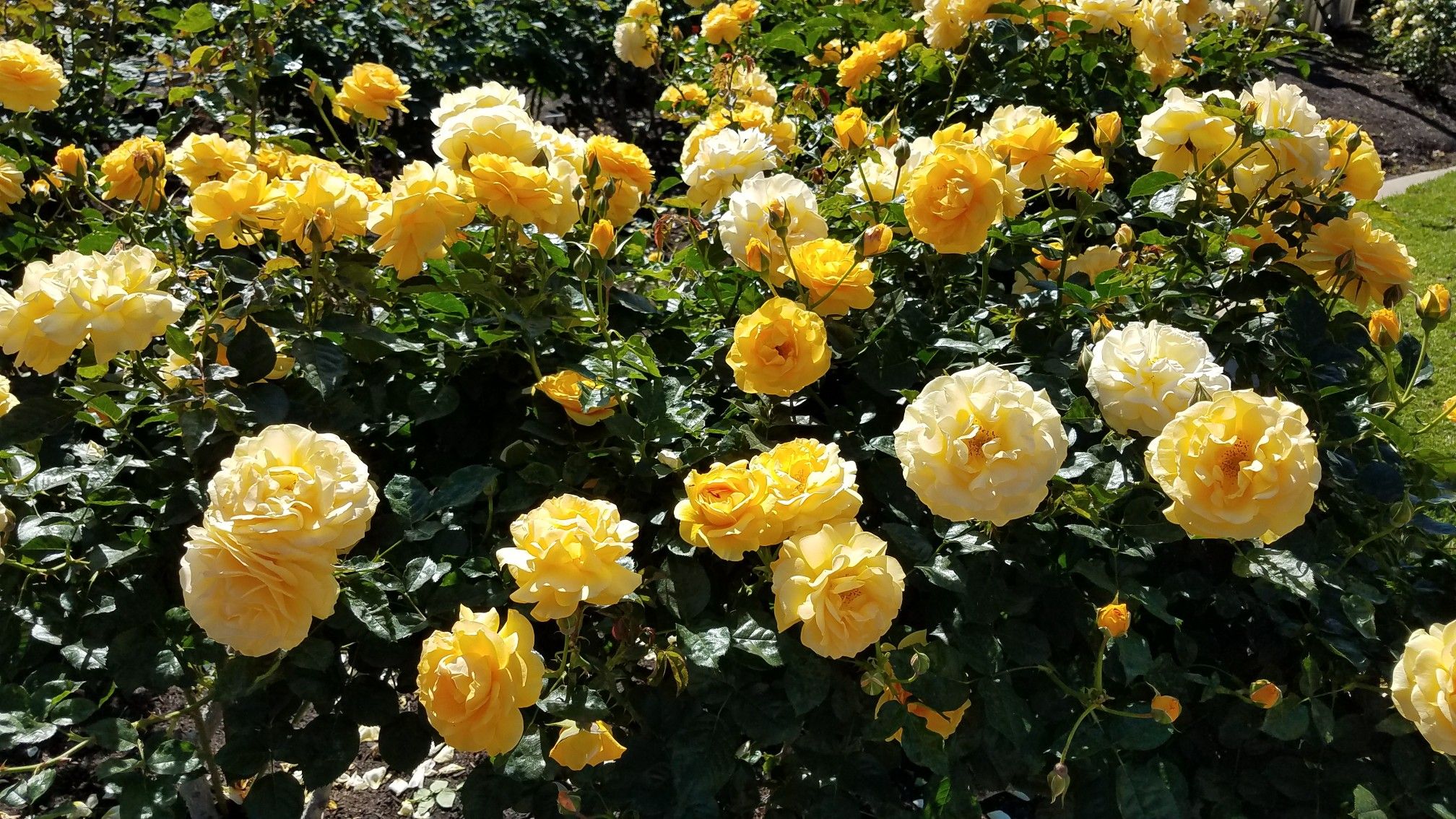 Wedding Reception Ideas