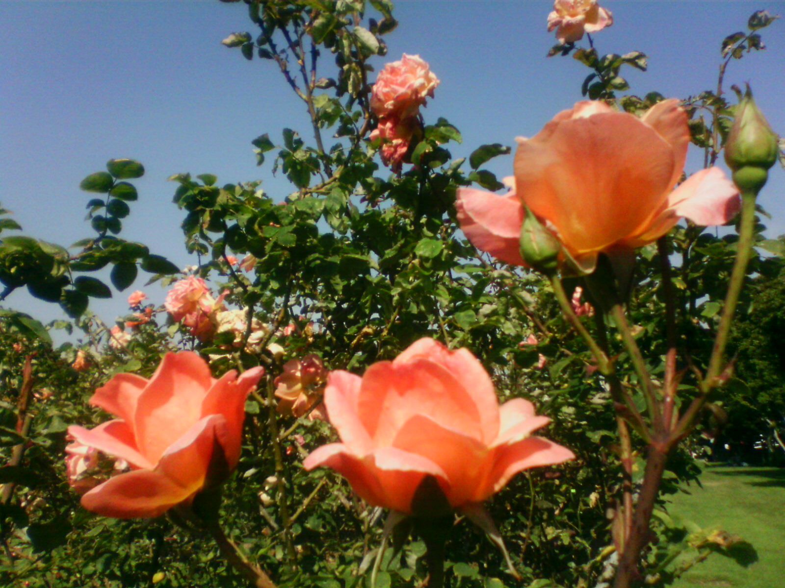 Wedding Reception Ideas