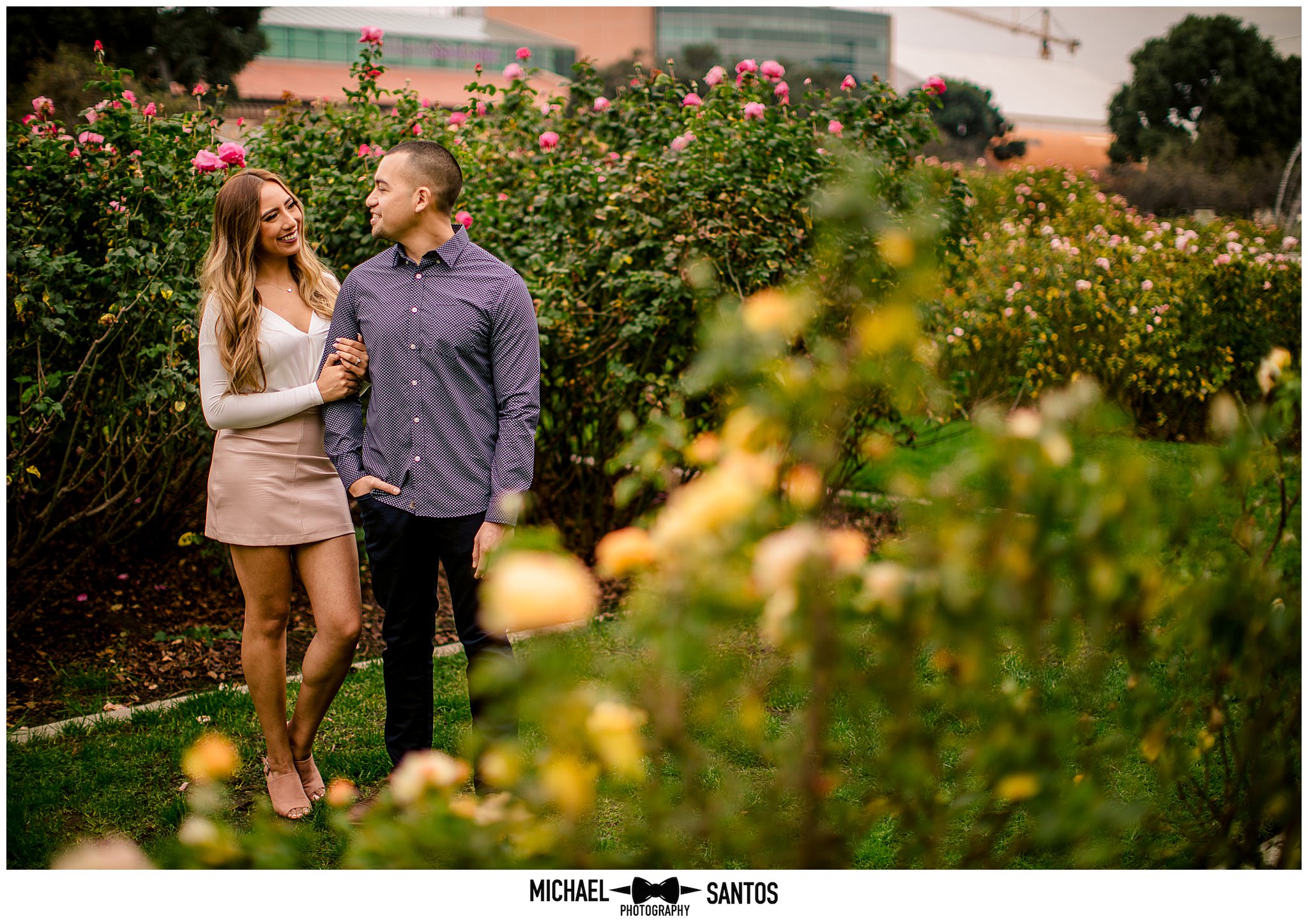 The Morning Meditating