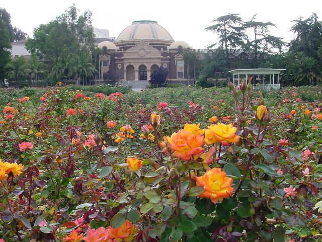 Usc Rose Garden Creative Wedding Ideas