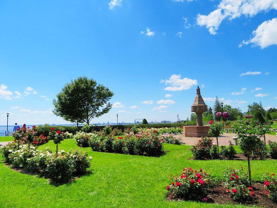 Duluth Minnesota Rose Garden Meetthehansensmn Garden Wedding