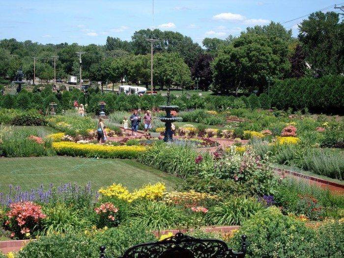 Mn Rose Garden Northern Minnesota
