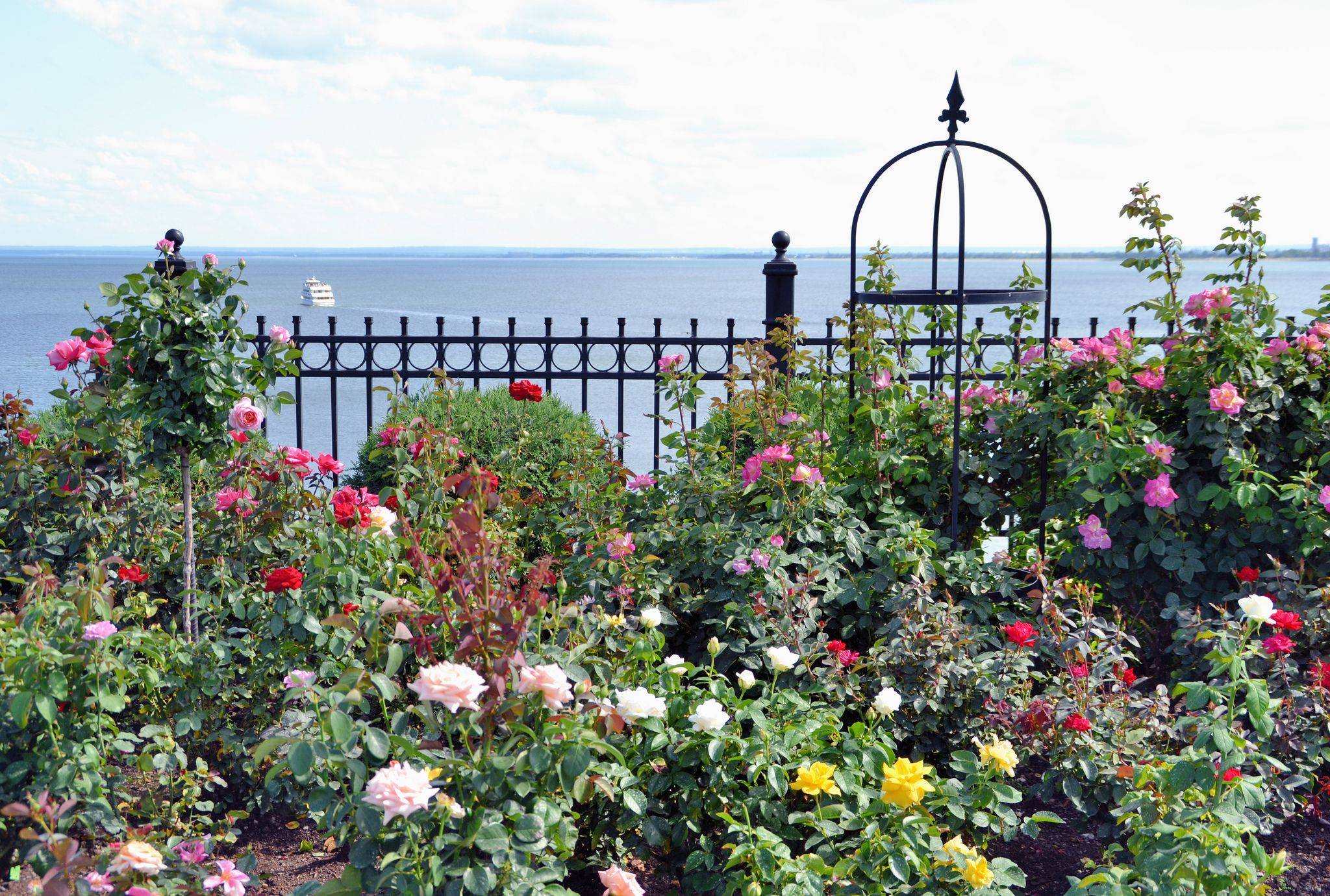 Rose Garden