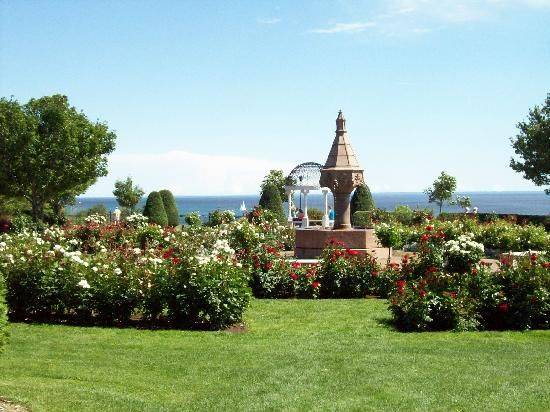 Rose Garden Duluth