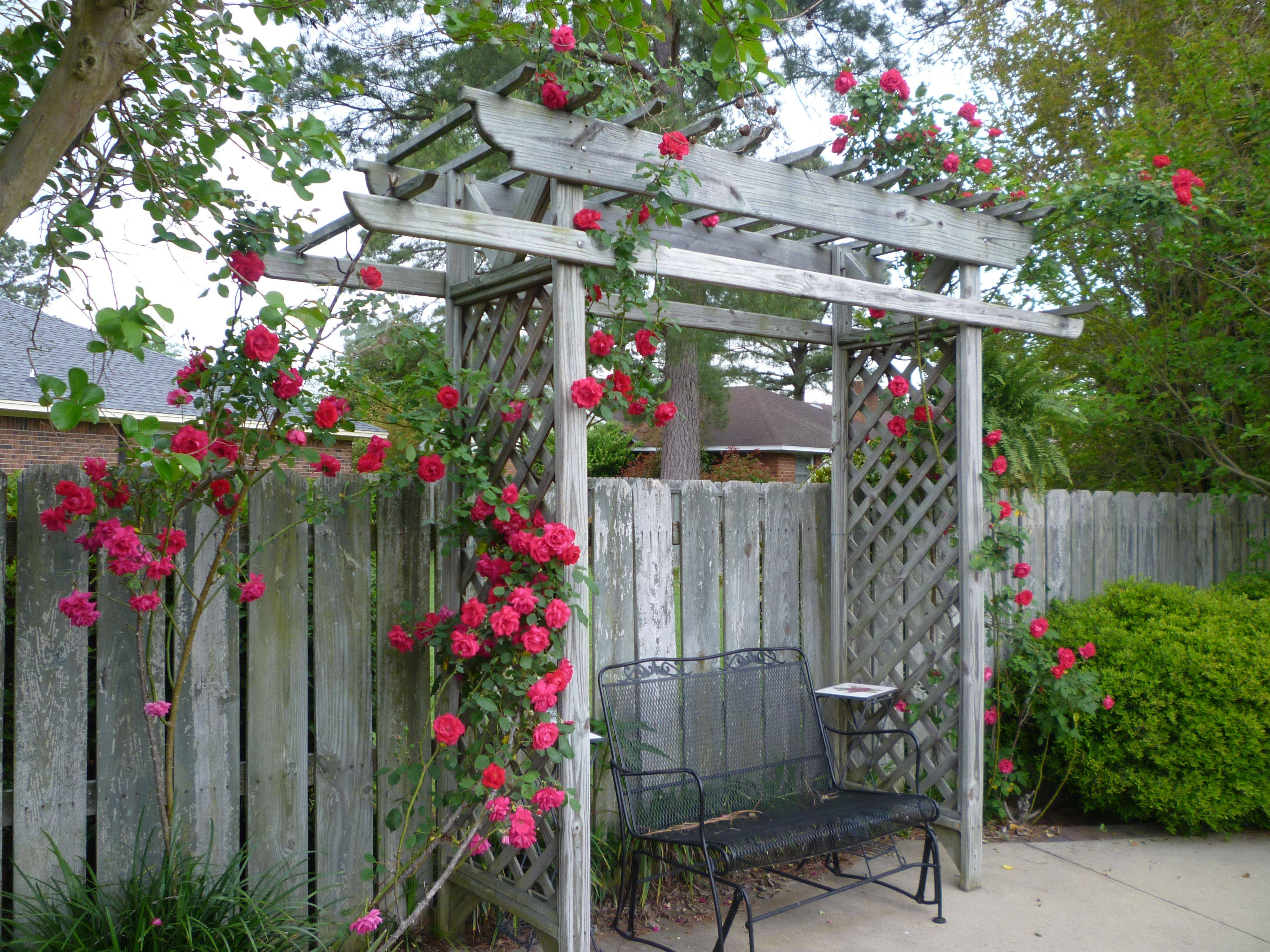Butchart Rose Garden