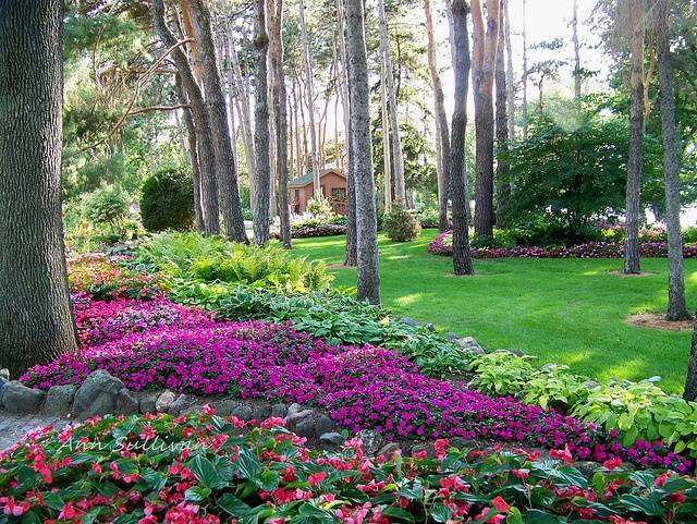 Our Landscaping
