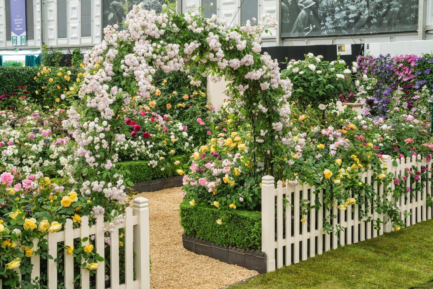 Eye Catching Front Yard Landscaping Ideas