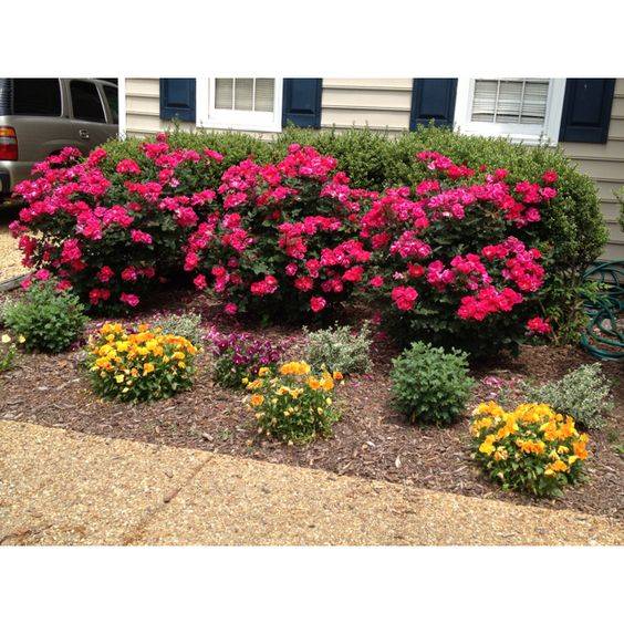 Modern Garden Design
