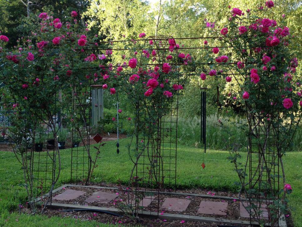 Front Yard Landscaping
