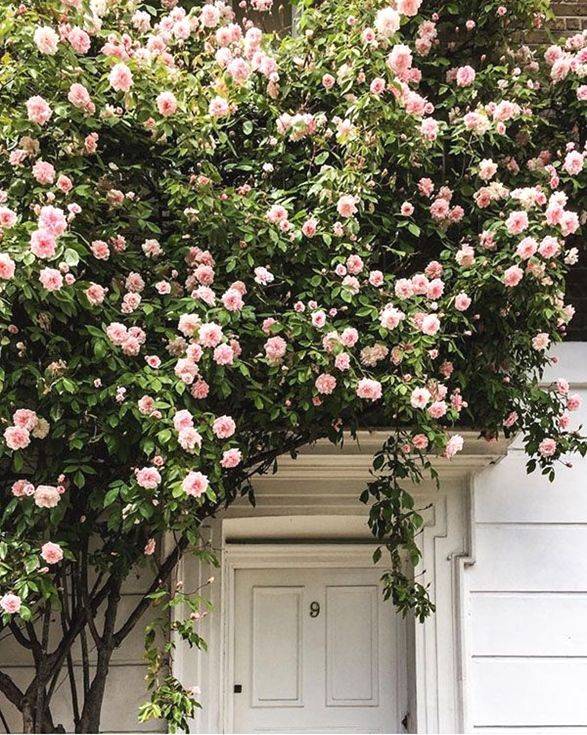 Fabulous Decorations