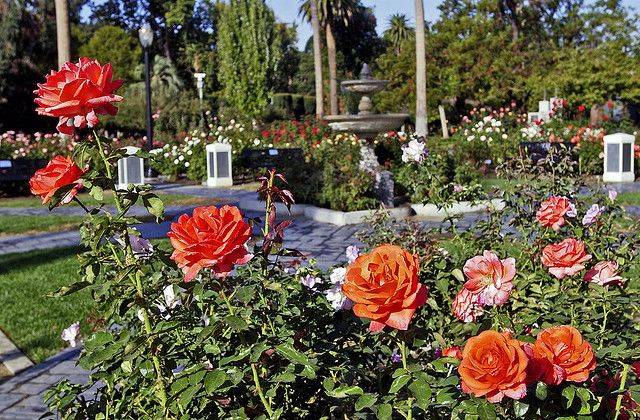 Exposition Park Rose Garden Wedding Great Gardening Websites