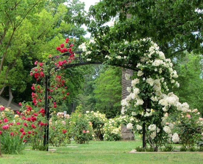 International World Peace Rose Garden Downtown Sacramento Tips