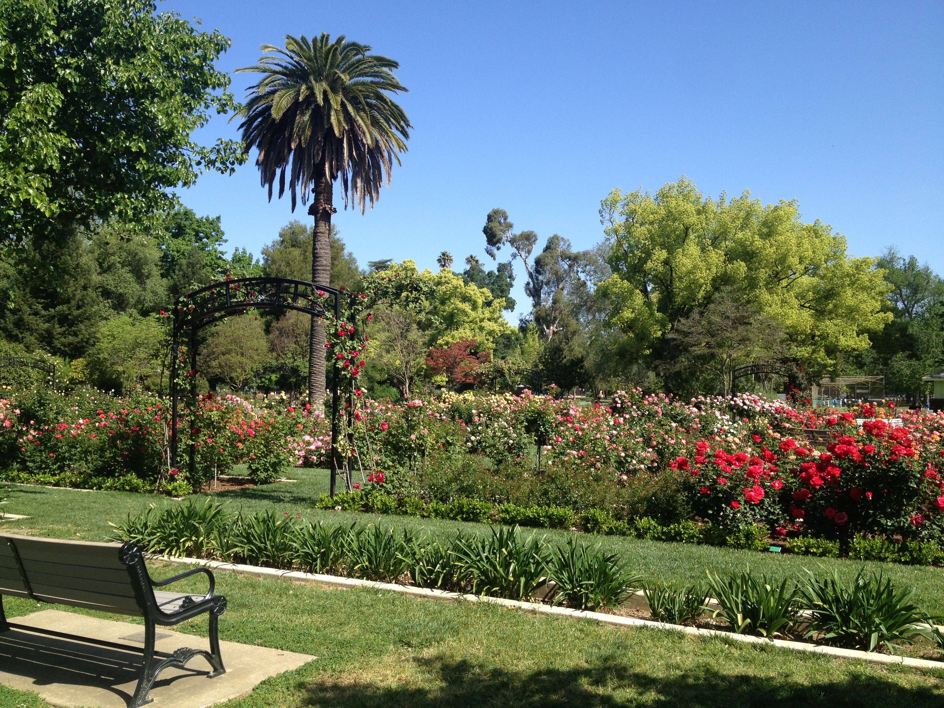 Mckinley Park Rose Garden Sacramento Wedding Unique And Different
