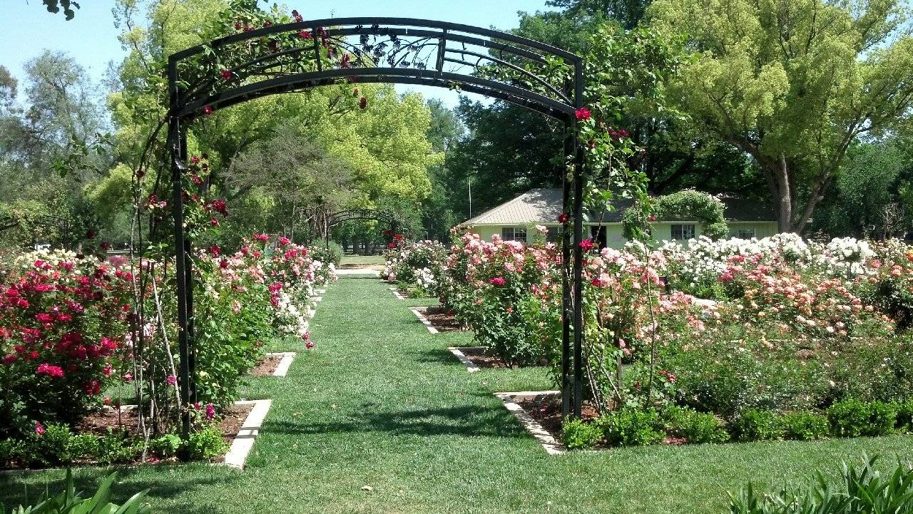 Private Rose Garden Traditional Landscape Sacramento